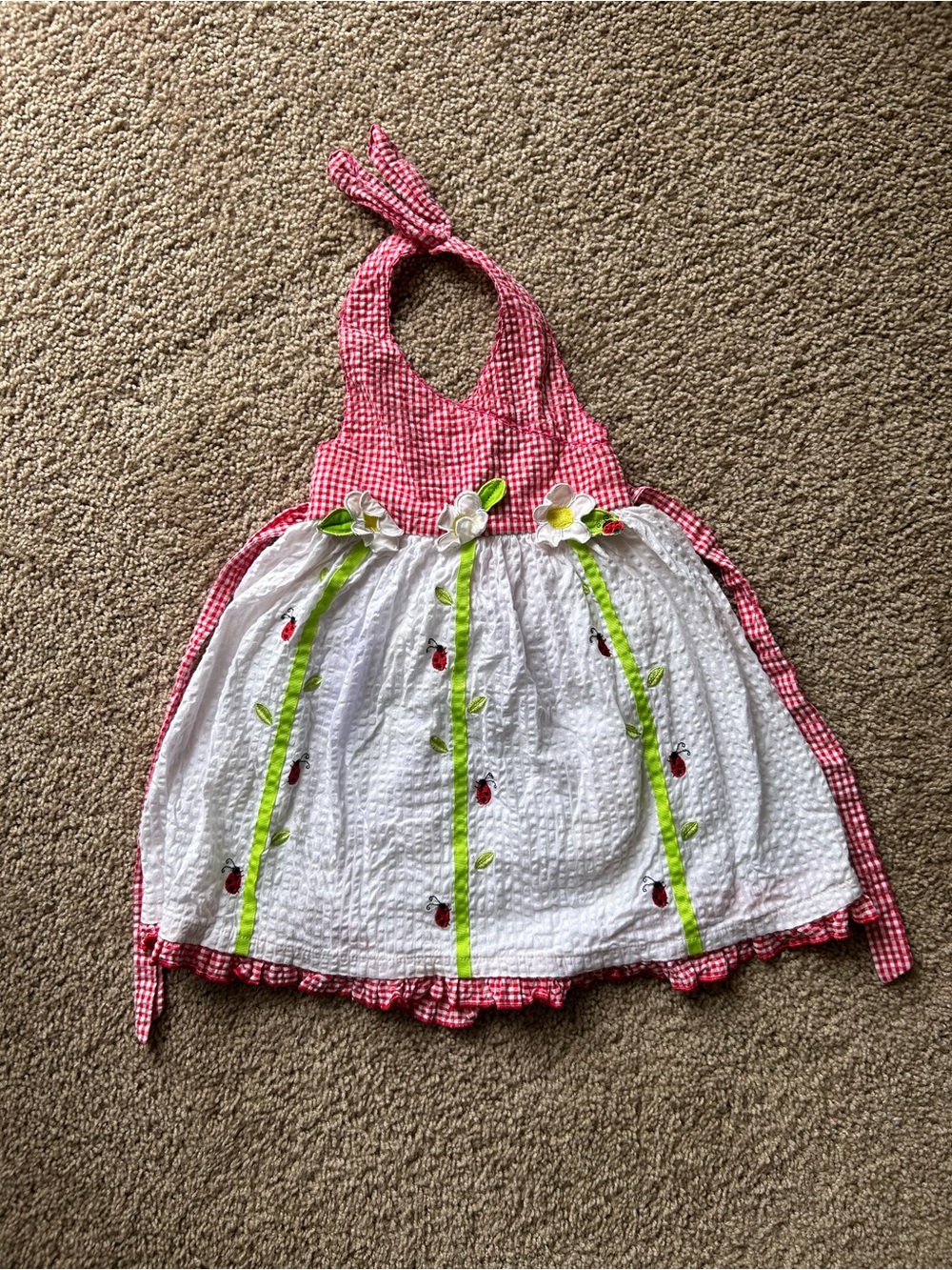 Blueberi Boulevard Ladybug Gingham Dress